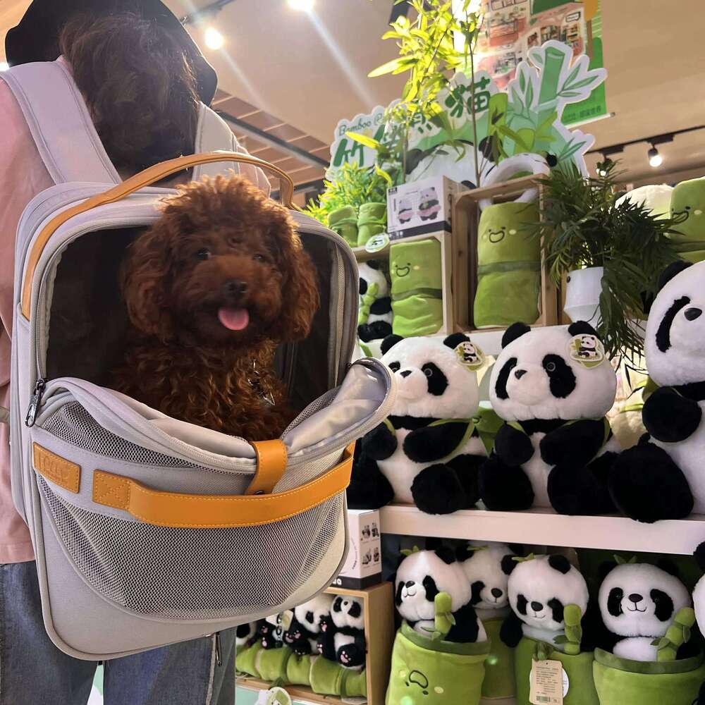 Breathable Dog Carrier Backpack for Small to Medium Dogs And Cats with Head out Design Comfortable Hands-Free Hiking Travel 26H0130