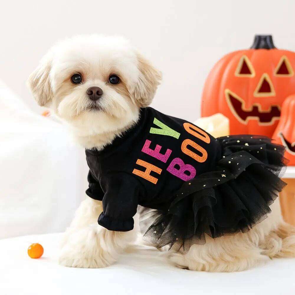 Puppy Costumes Two Legged Dress Soft Black Lace Skirt Comfortable Dog Pullover Halloween H260130