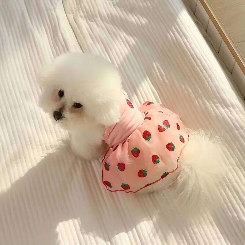Summer Thin Puppy Princess Skirt Clothes Cute Dog Dress for Small Dogs Chihuahua York Clothing Pet Supplies H260130