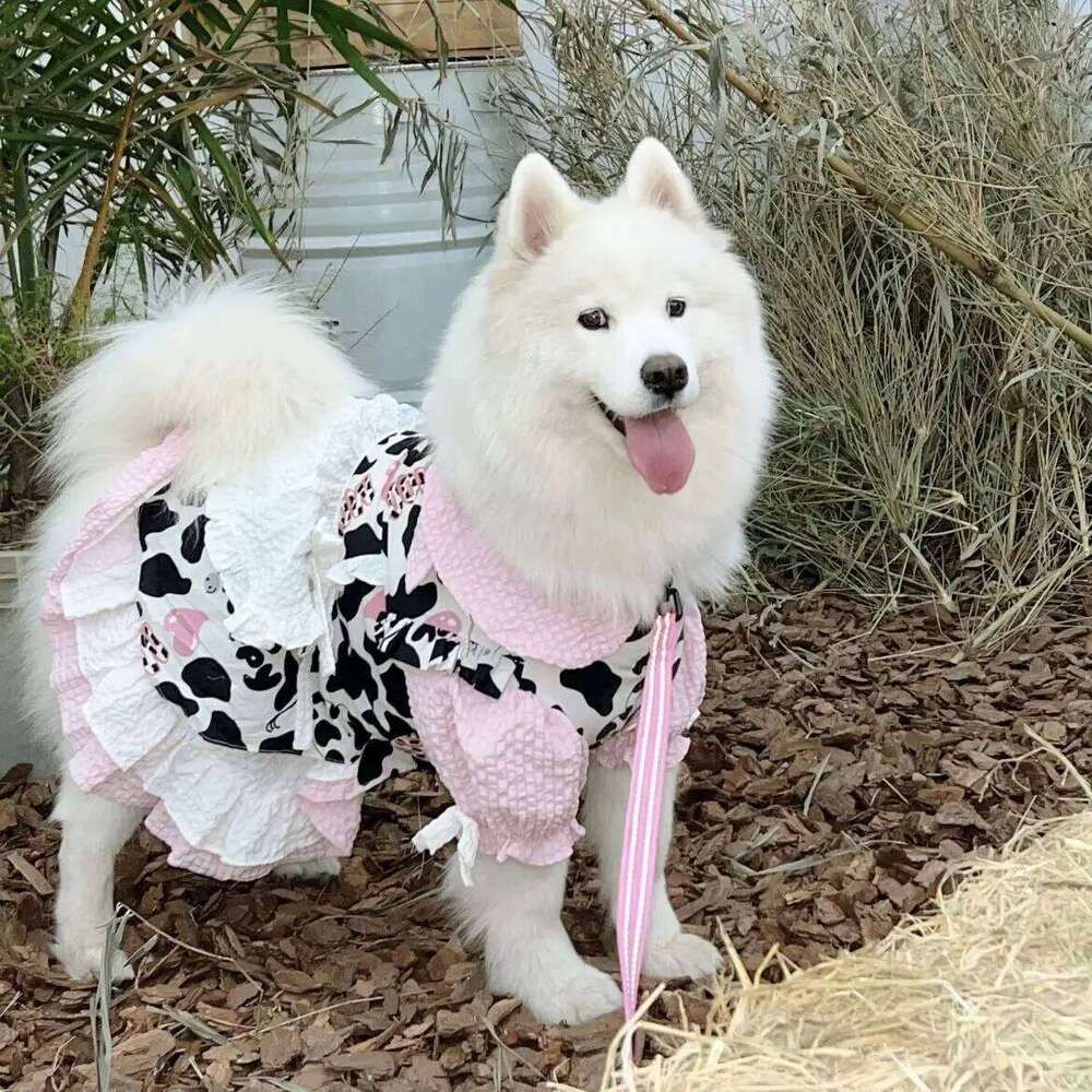 Spring Summer Thin Dress For Medium Large Dogs Fashion Simple Cow Print Lovely Dog's Dresses Labrador Samoye Pet Dog Clothes H260129