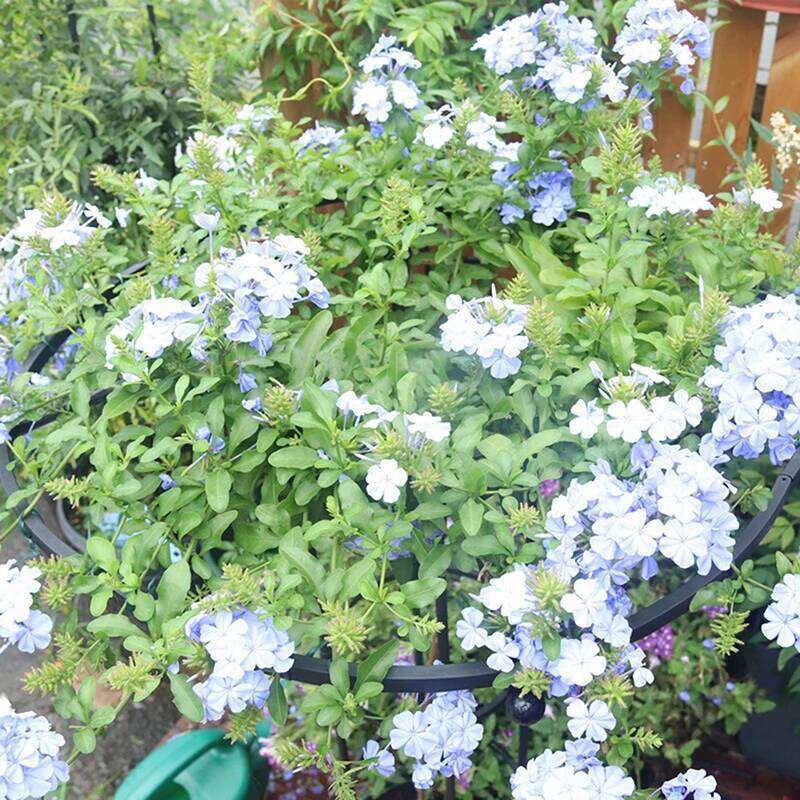 Garden Umbrella Tower Plant For Plants Support DIY Climbing Trellis Flower Pots Supports Y260130