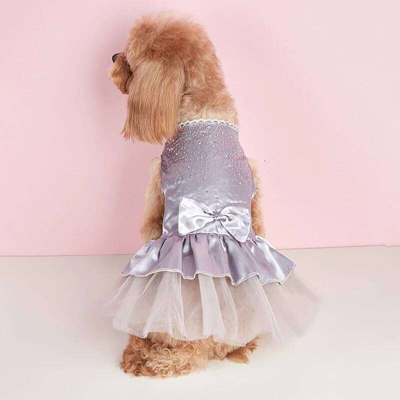 Summer Dress Lace Pet Clothing Chihuahua Tulle Skirt Cat Princess Apparel Cute Puppy Clothes Dog Accessories H260129