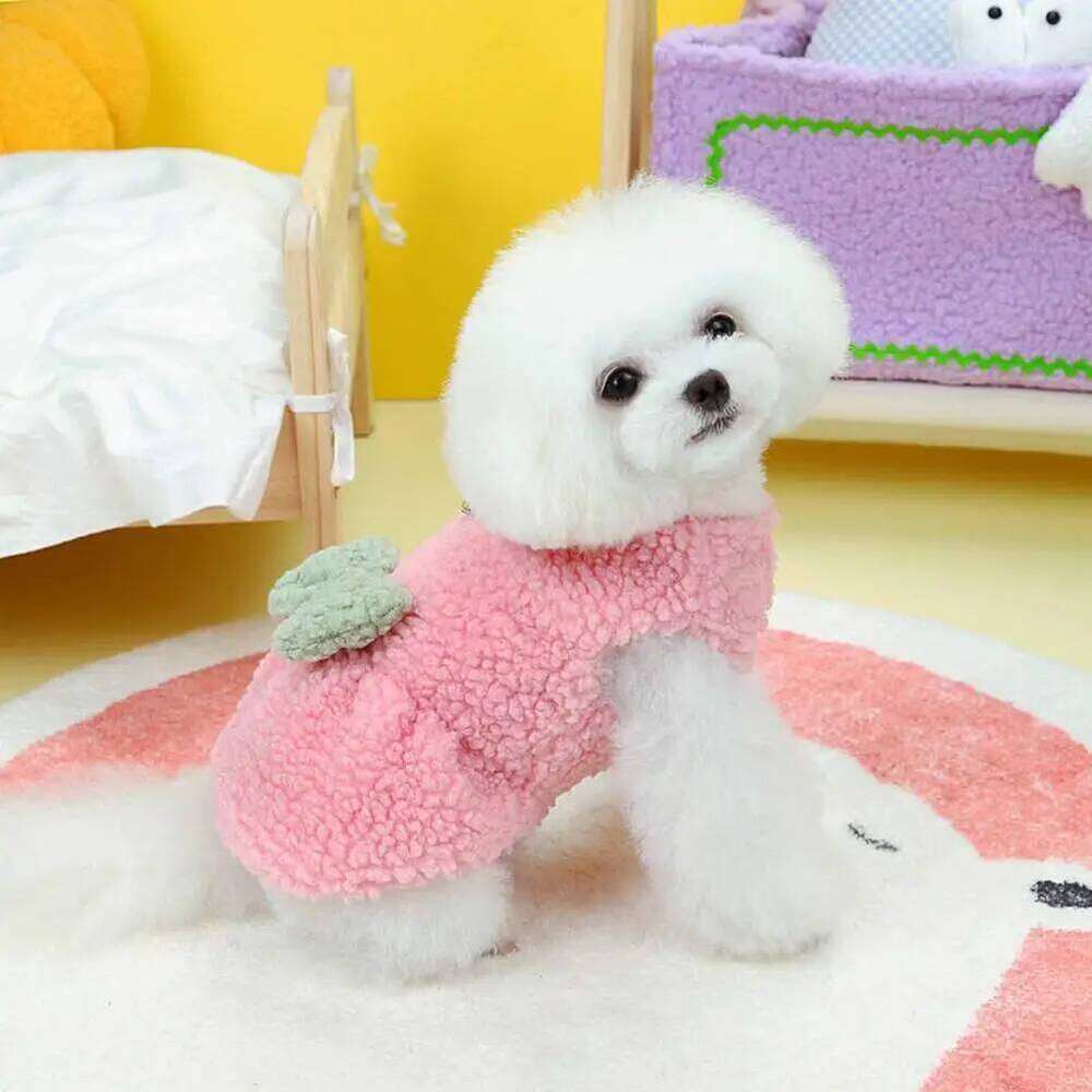 Dog clothing that can be used indoor and outdoor activities, suitable for daily wear H260129