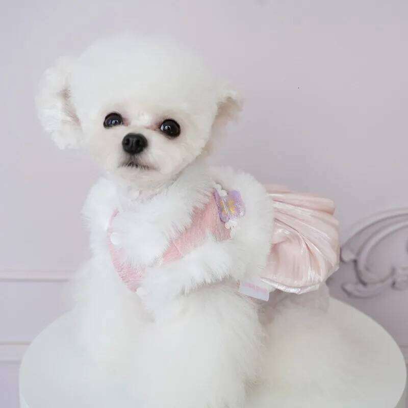 Flannel Rabbit Butterfly Tang Dress Princess New Year Small Medium Dog Coat Puppy Clothes Chinese Style Pet Skirt H260129