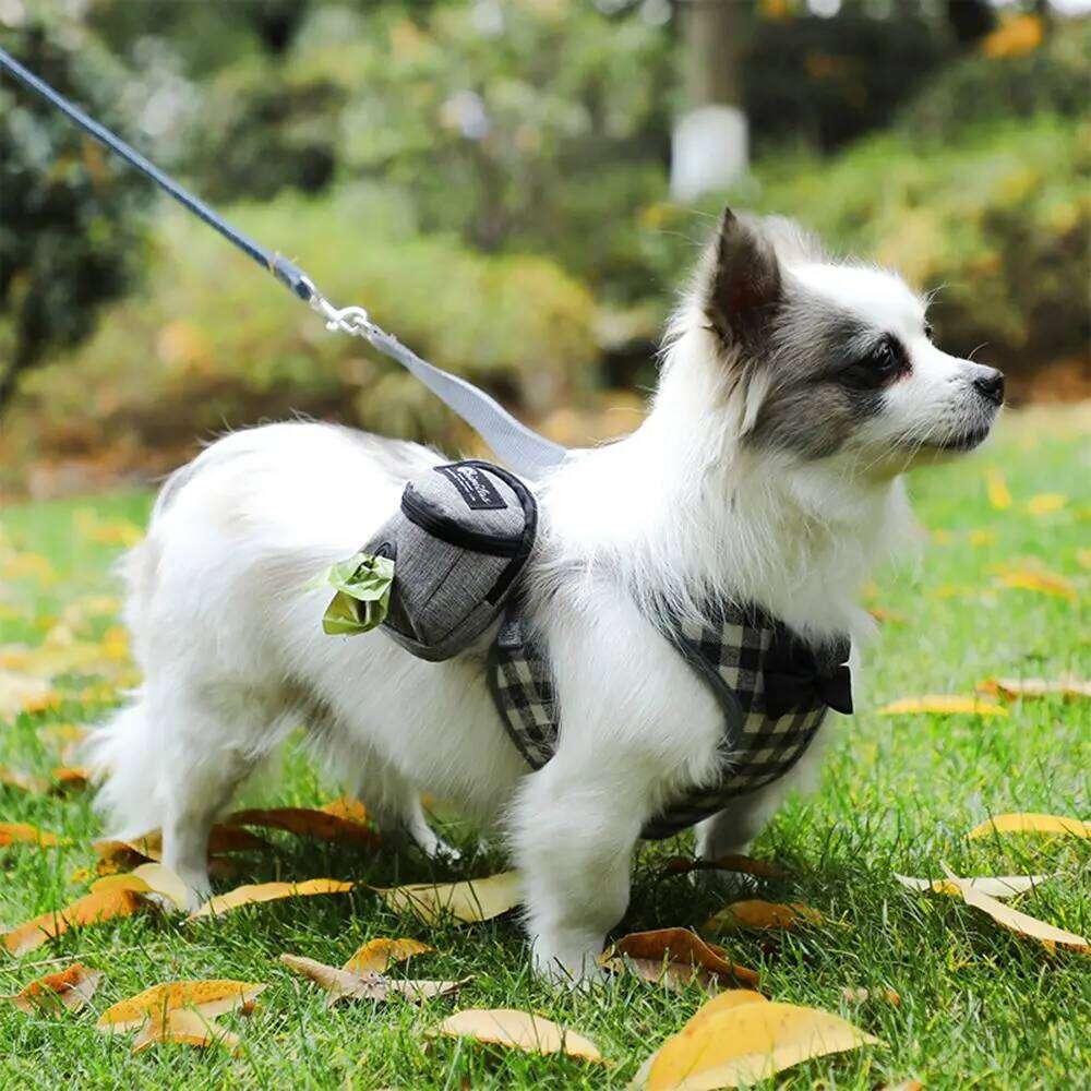 Portable Training Outdoor Pet Treat Pouch Puppy Snack Reward Waist Poop Bag Dog Carriers Bags 26H0130