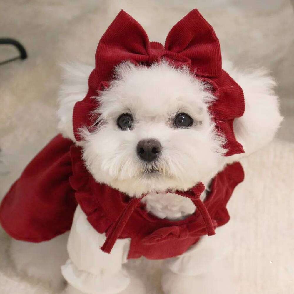 Cute Dog Dress Winter for Small Breeds Bichon Poodle Clothing Fashion Outfit Decoration Pet Supplies H260130
