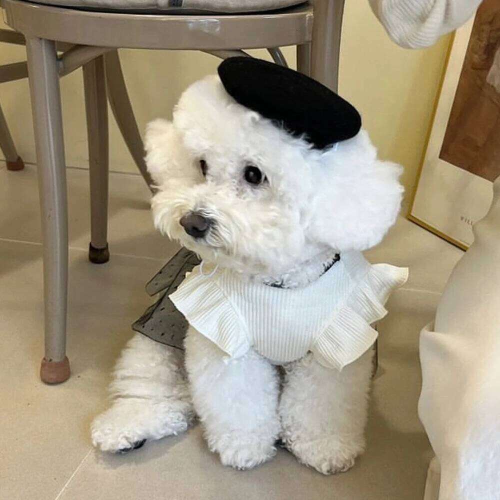 Luxury Dress for Small Summer Puppy Clothes Bow Lace Skirt Black White T-Shirt Girls puppy Costume Chihuahua Vest H260129