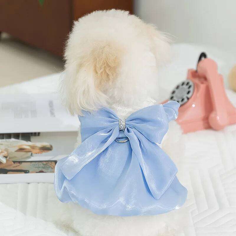 Bow Lace Pet Clothing For and Small Wedding Dog Princess Puppy Summer Clothes Cat Dress H260129