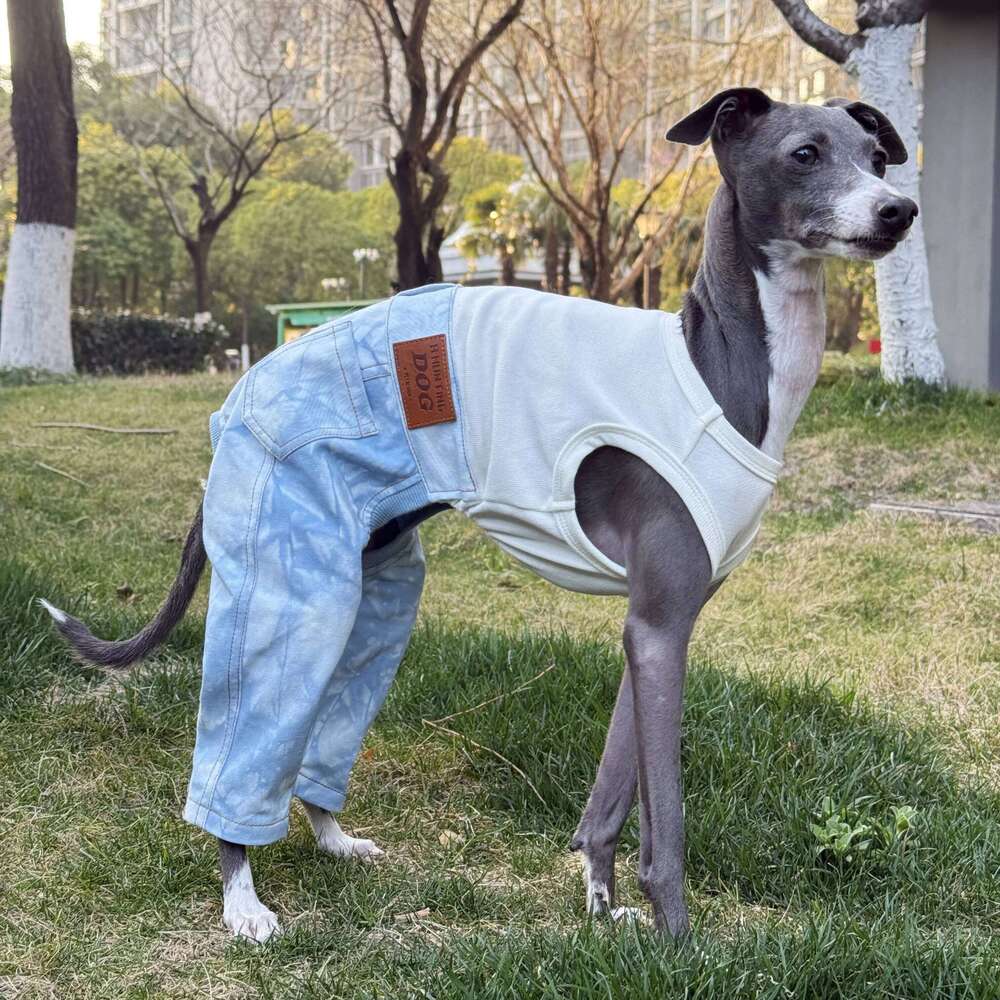 Famous brand Clothing Dogs One piece Spring Cotton Denim Jumpsuit High stretch T shirt Pant for Italian Greyhound Poodle Green Costumes pupakaIK
