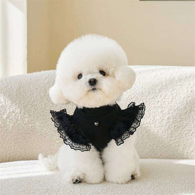 Black Lace Ruffle Shirt for Small Dog Girl Dresses Cat Dress Puppy Outfits Size XS-XL Chihuahua Clothes H260129