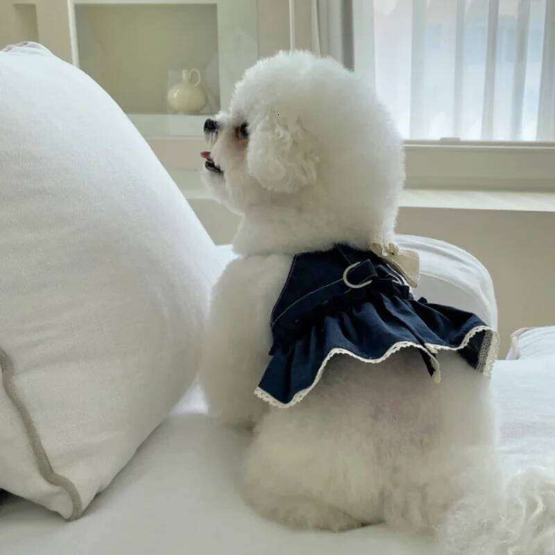 Fashion Denim Skirt Spring Summer Couples Dog Teddy Dress Puppy Breathable Clothes with Bow Pearl Applique H260129