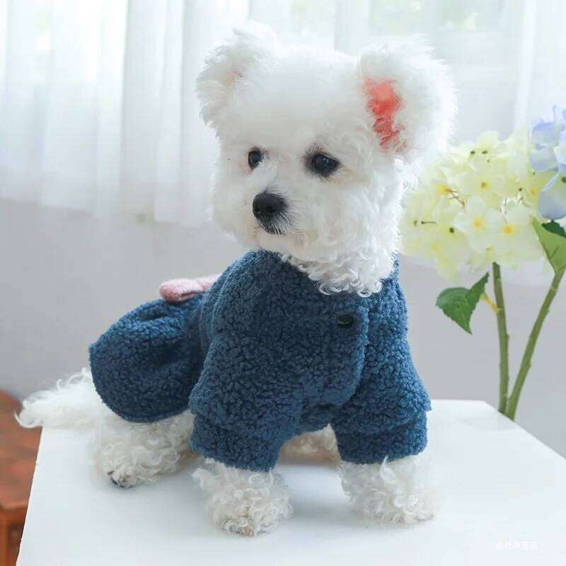 1PC Pet Apparel Cat Dog Autumn Winter Plush Thickened Warm Blue Bow Princess Dress Suitable for Small and Medium sized Dogs H260129