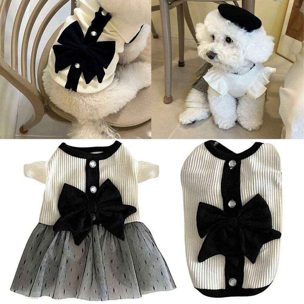 Dress for Small Dogs Luxury Summer Puppy Clothes Bow Lace Skirt Black White T Shirt Girls Dog Costume Chihuahua Vest H260129