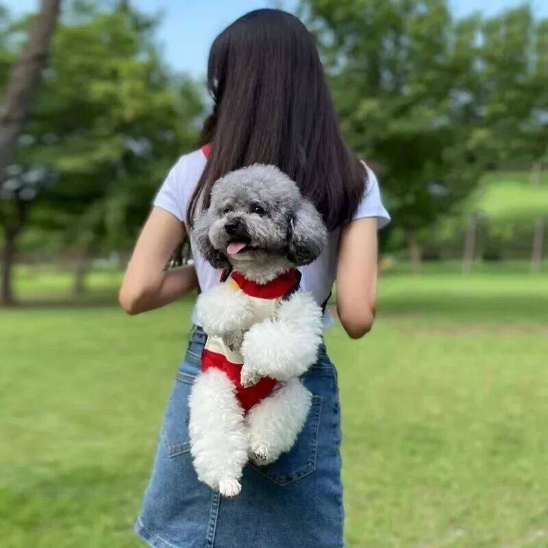 Pet Solid New Style Breathable Design Cats and Dogs for Outings Travel Bag Dog Carrier Backpack 26H0130