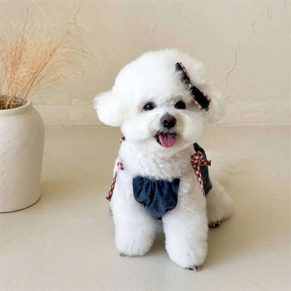 Pet Supplies Cute Dress Cartoon Soft Cat Princess Skirt Thin Design Breathable Dog Vest Spring H260130