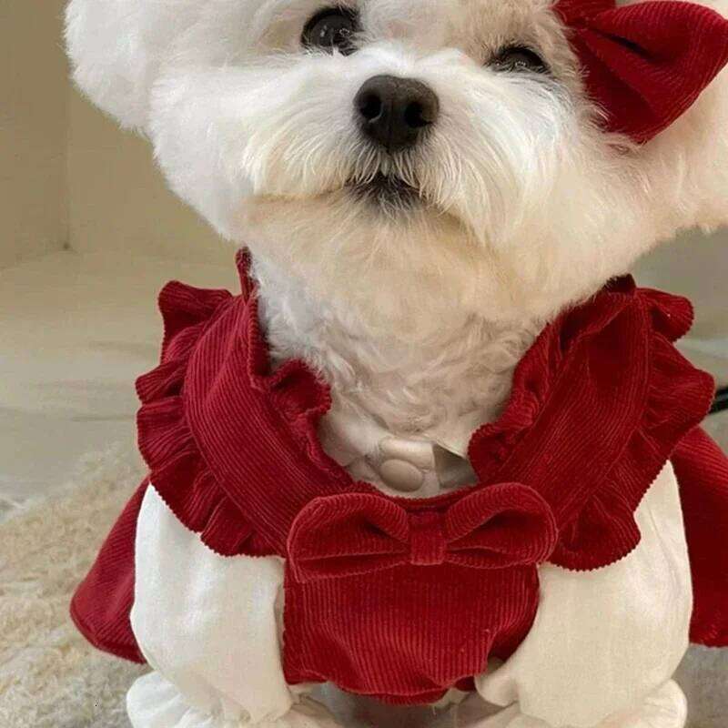 Warm Red Female Clothes Winter Dress Teddy Pullover Pomeranian Solid Colour Puppy Skirt Small Dog Pet Princess Dresses H260130