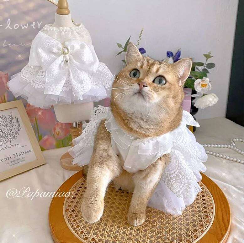 Luxury Princess Cat Wedding Dress Dog Dresses for Small Dogs Pet Clothing Costume Puppy Supplies Skirt ropa para perros H260130