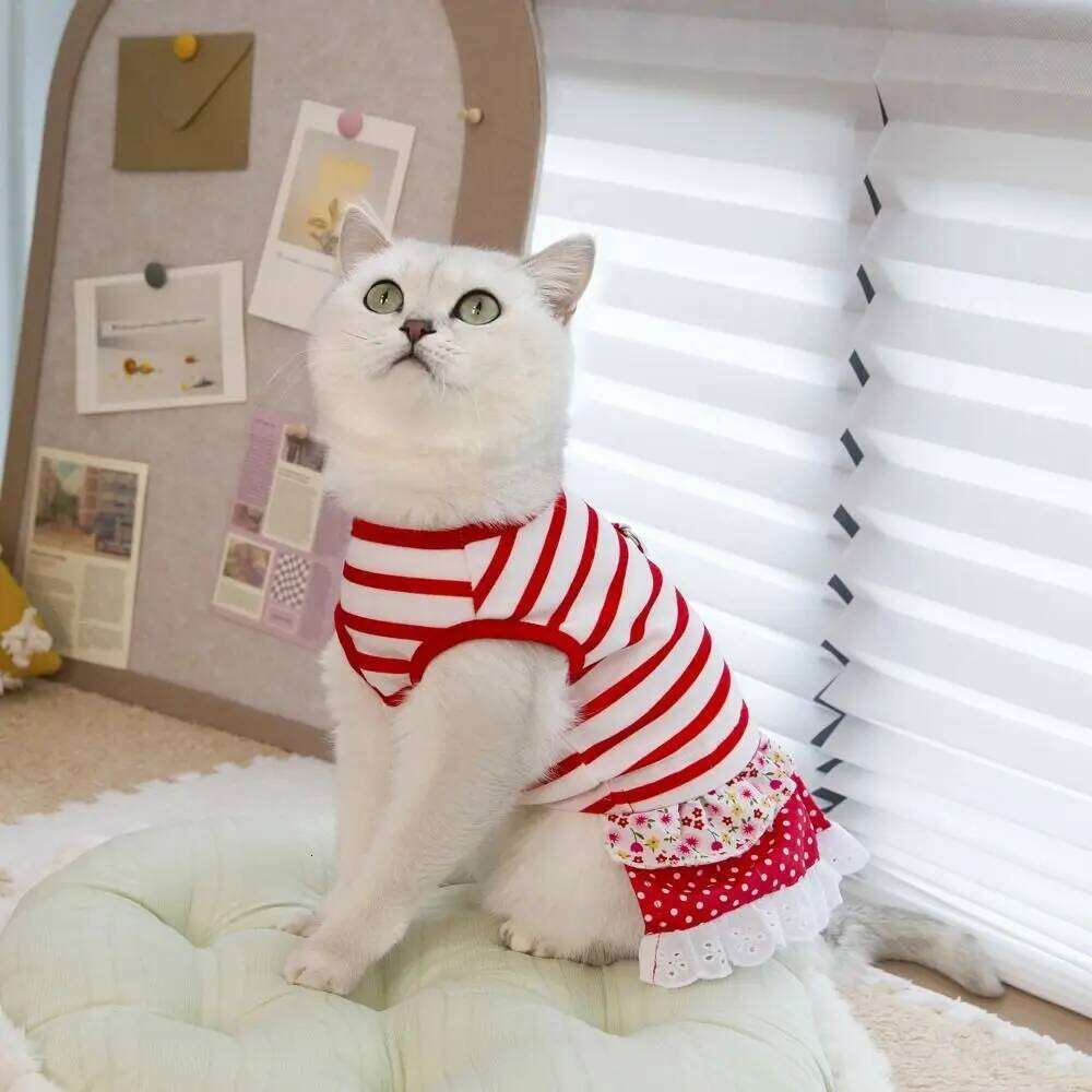 Fashion Cute Striped Dog Dress Soft Thin Design Princess Lace Skirt Breathable Summer Pet Clothes for Puppy Kittens H260130
