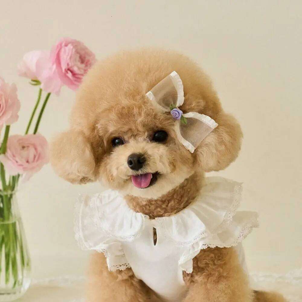 Supplies Cute Rose Flower Dog Dress Soft Breathable Cat Princess Skirt Thin Design Pet Summer Clothes Spring H260129