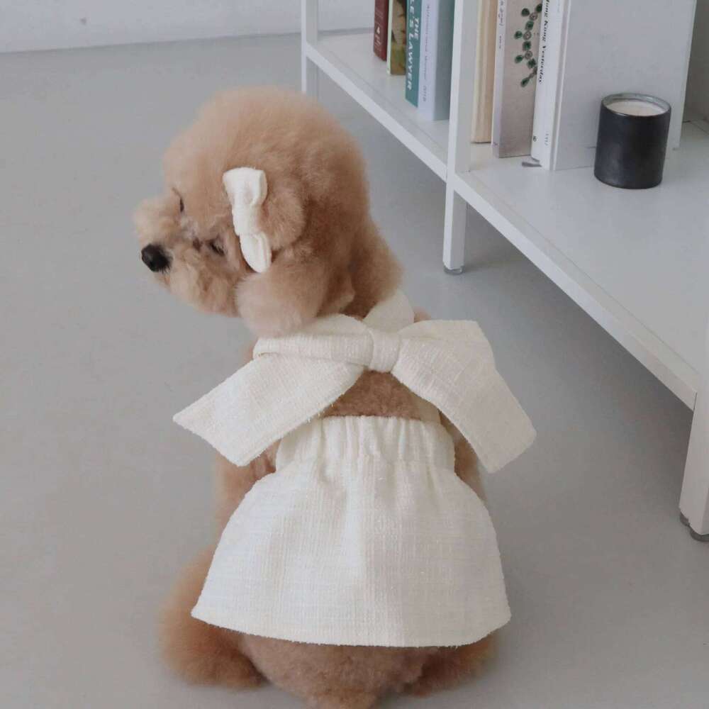 INS Winter Fashion Black and White Chunky Braided Bow Halter Dress Cat Party Outfit Dog Dresses Give Hair Clips H260130