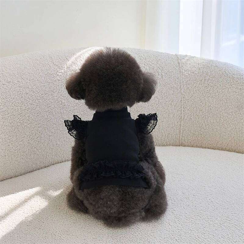 Black Lace Ruffle Shirt for Small Dog Girl Dresses Cat Dress Puppy Outfits Size XS-XL Chihuahua Clothes H260129