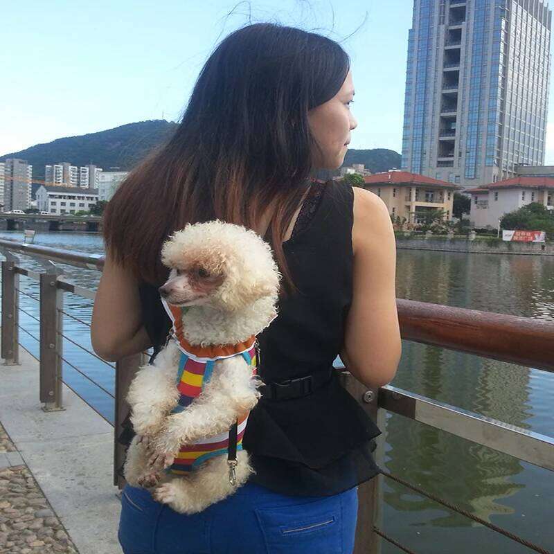 HQ Pet Front Chest Five Holes Backpack Dog Outdoor Tote Bag Sling Holder Mesh Cat Puppy Carrier 26H0130