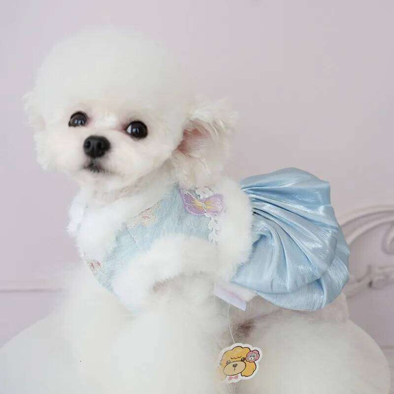 Flannel Rabbit Butterfly Tang Dress Princess New Year Small Medium Dog Coat Puppy Clothes Chinese Style Pet Skirt H260129