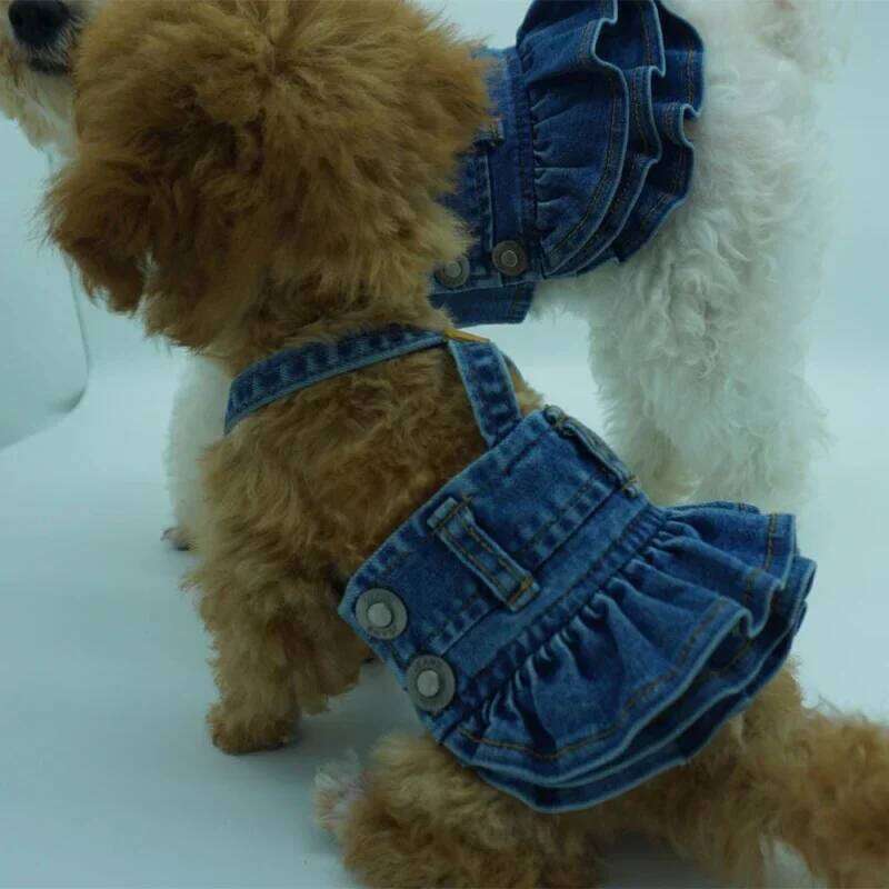 Small Dog Clothes Costume Denim Jeans Dress Cat Puppy Pet Skirt Yorkshire Pomeranian Shih Tzu Maltese Doggie Clothing Dresses H260130