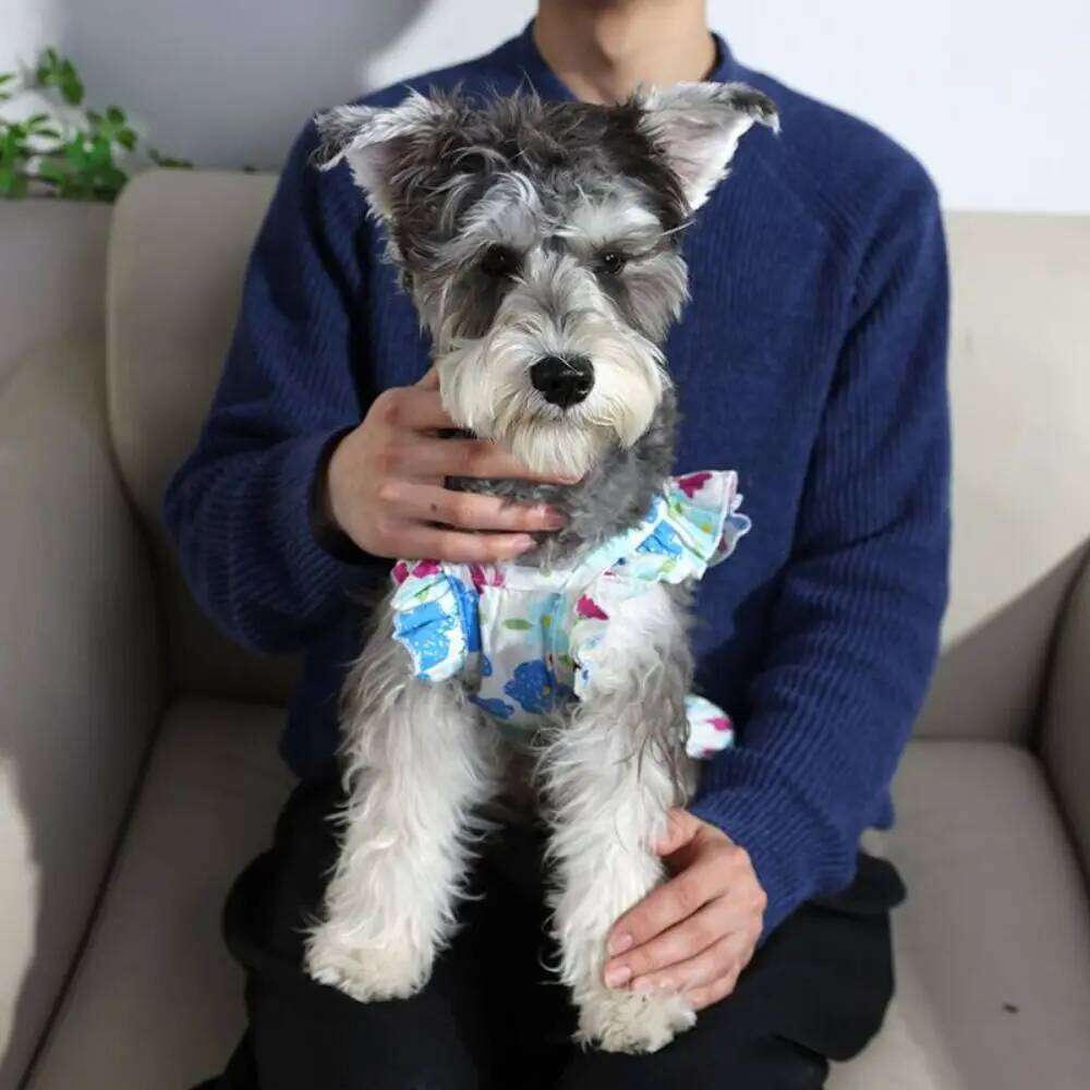 Fashion Soft Floral Breathable High-end Princess Thin Pet Suspender Dress Small/Medium Dog H260130