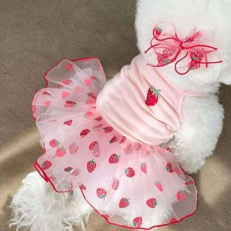 Sweet Cute Dog Dresses Sleeveless Princess Dress Pet Clothes XS-XL Strawberry Daisy Pattern Cat Skirts Summer H260130