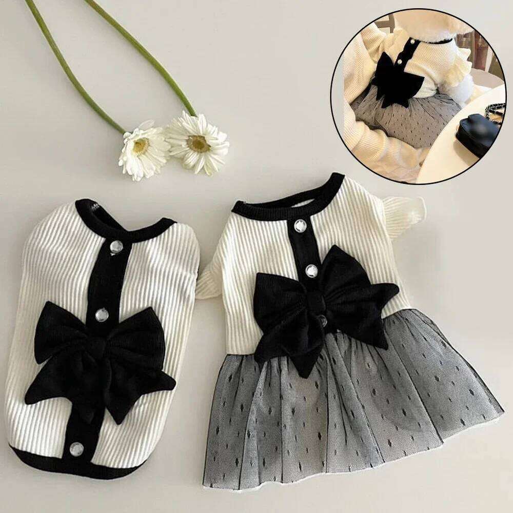 Dress for Small Dogs Luxury Summer Puppy Clothes Bow Lace Skirt Black White T Shirt Girls Dog Costume Chihuahua Vest H260129