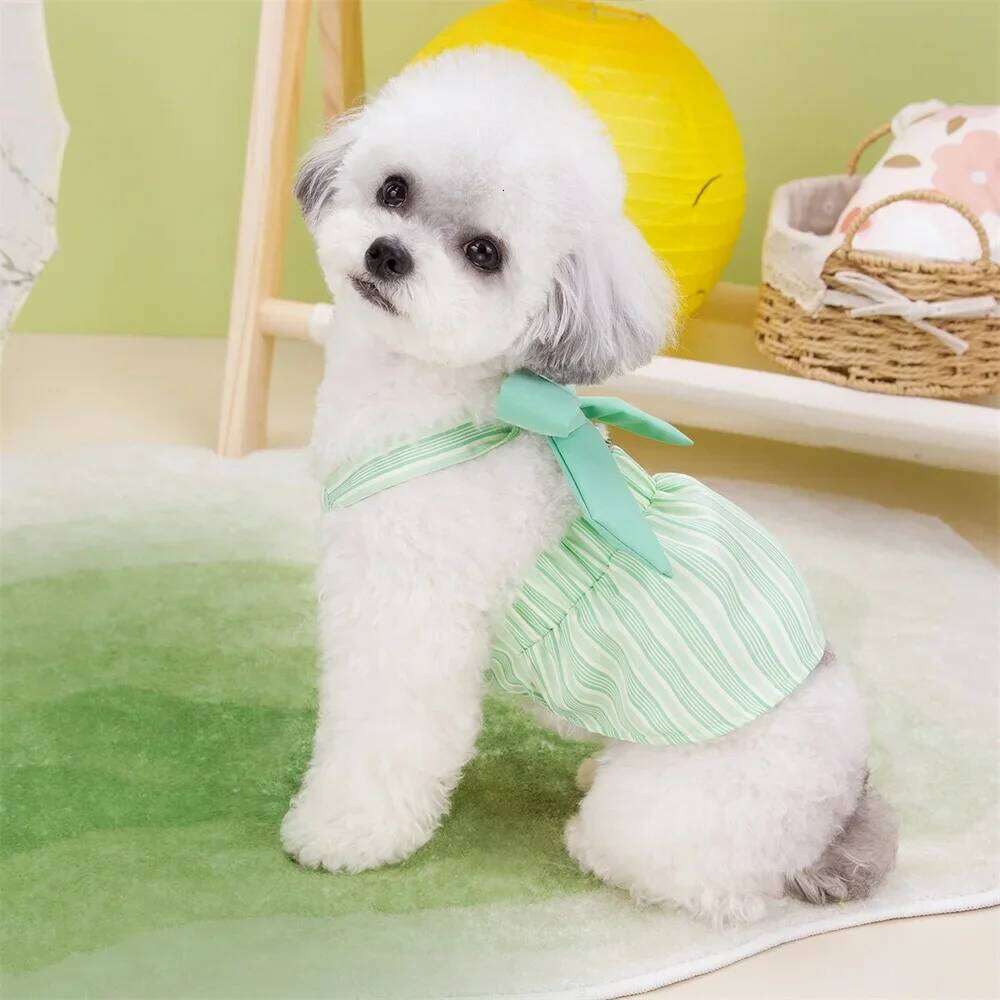 Summer Puppy Striped Suspender Skirt Cute Dress Pet Costume Chihuahua Bichon Yorkie Clothing Dog Vest H260129