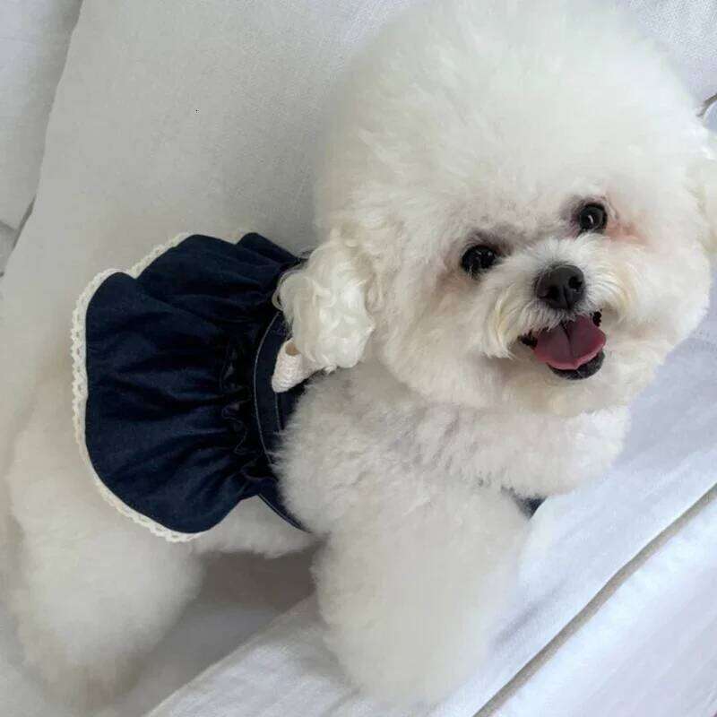 Fashion Denim Skirt Spring Summer Couples Dog Teddy Dress Puppy Breathable Clothes with Bow Pearl Applique H260129