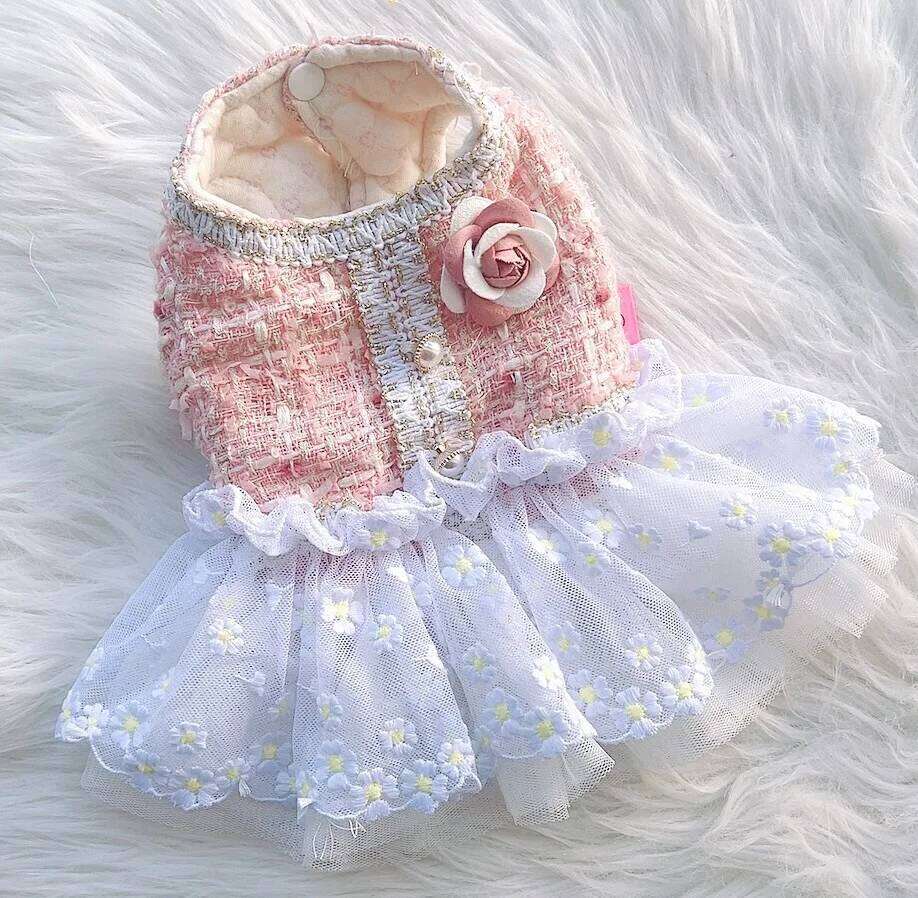 Cotton Knitted Winter Puppy Coat Lace Chihuahua Skirt Pet Clothes Dog Dresses for Small Dogs H260129