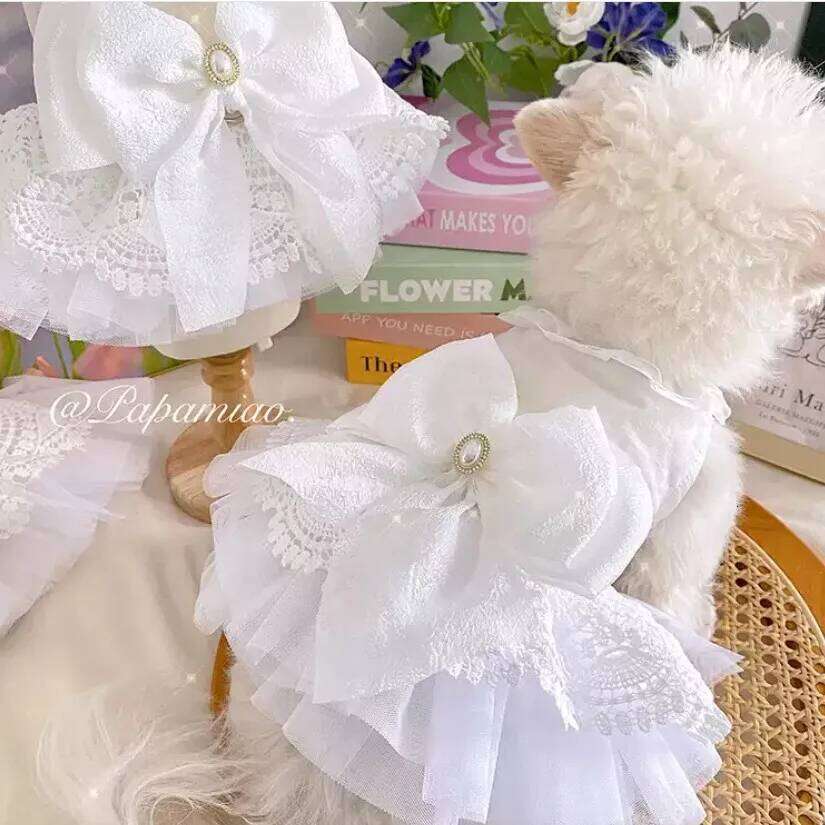 Luxury Princess Cat Wedding Dress Dog Dresses for Small Dogs Pet Clothing Costume Puppy Supplies Skirt ropa para perros H260130