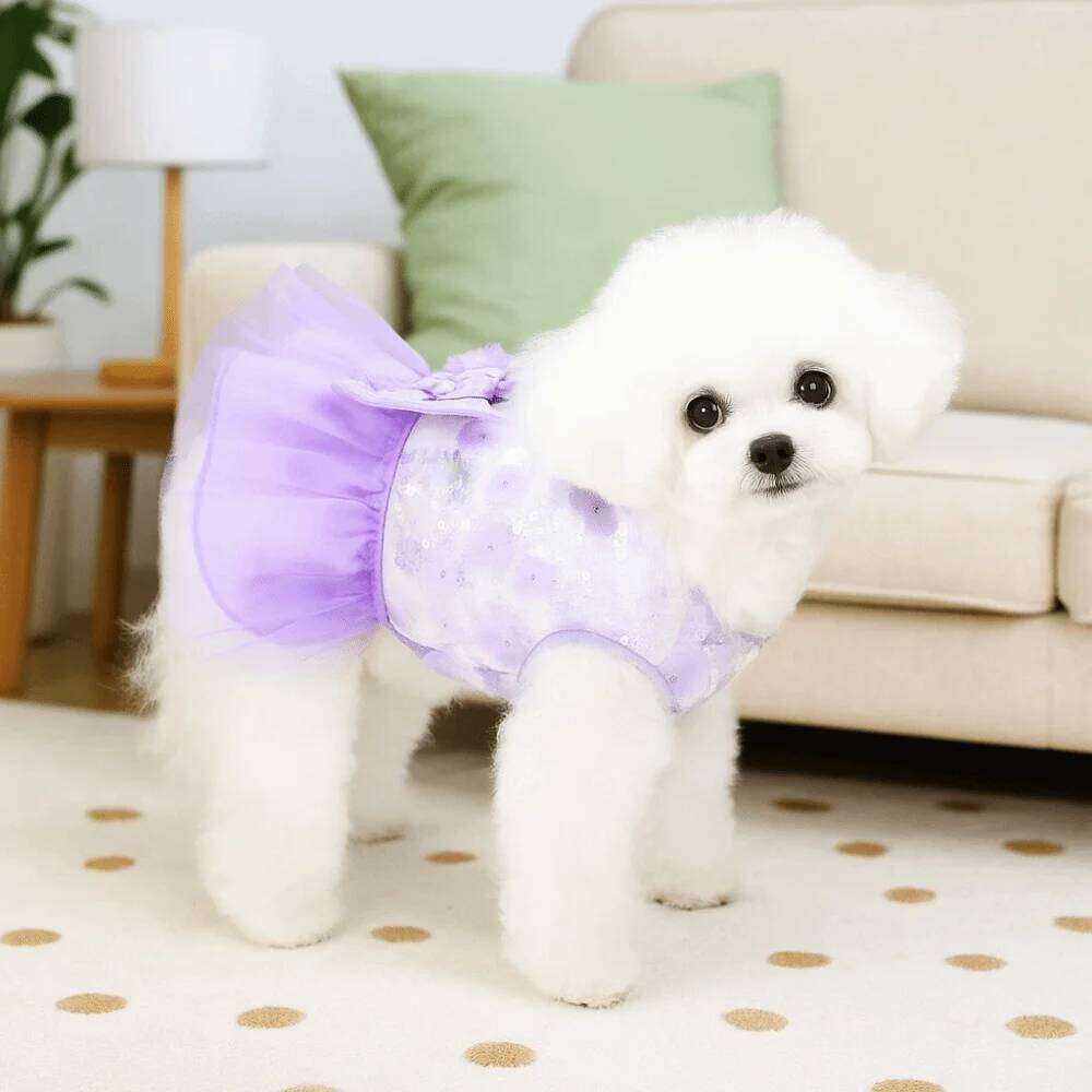 Comfortable Sweet Summer Princess Skirt Cute Soft Pet Clothes Breathable Thin Design Dog Vest Harness Autumn H260130