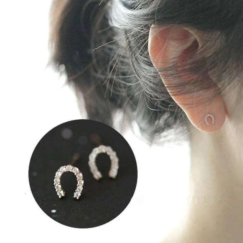 New Fashion 925 Silver Needle Horseshoe Zircon Stud For Women Female Girls Cute Earrings Jewelry Accessories Gifts