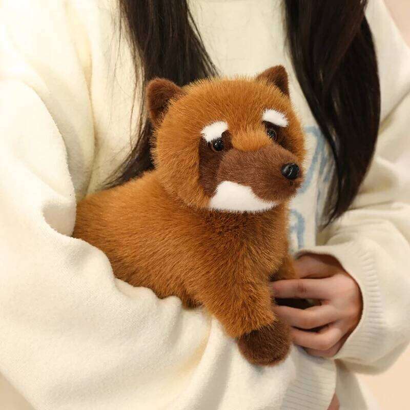 53cm South American Doll Simulated Long Tailed Raccoon Plush Toy Birthday and Christmas Gifts for Kids Y260128