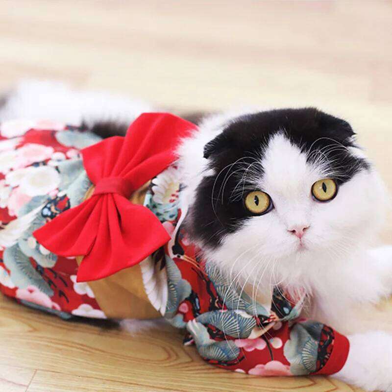 Cat Japanese Kimono Cosplay Coat Crane Cherry Blossom Pattern Jacket Girl Dog Dresses Chihuahua Pet Clothes H260129