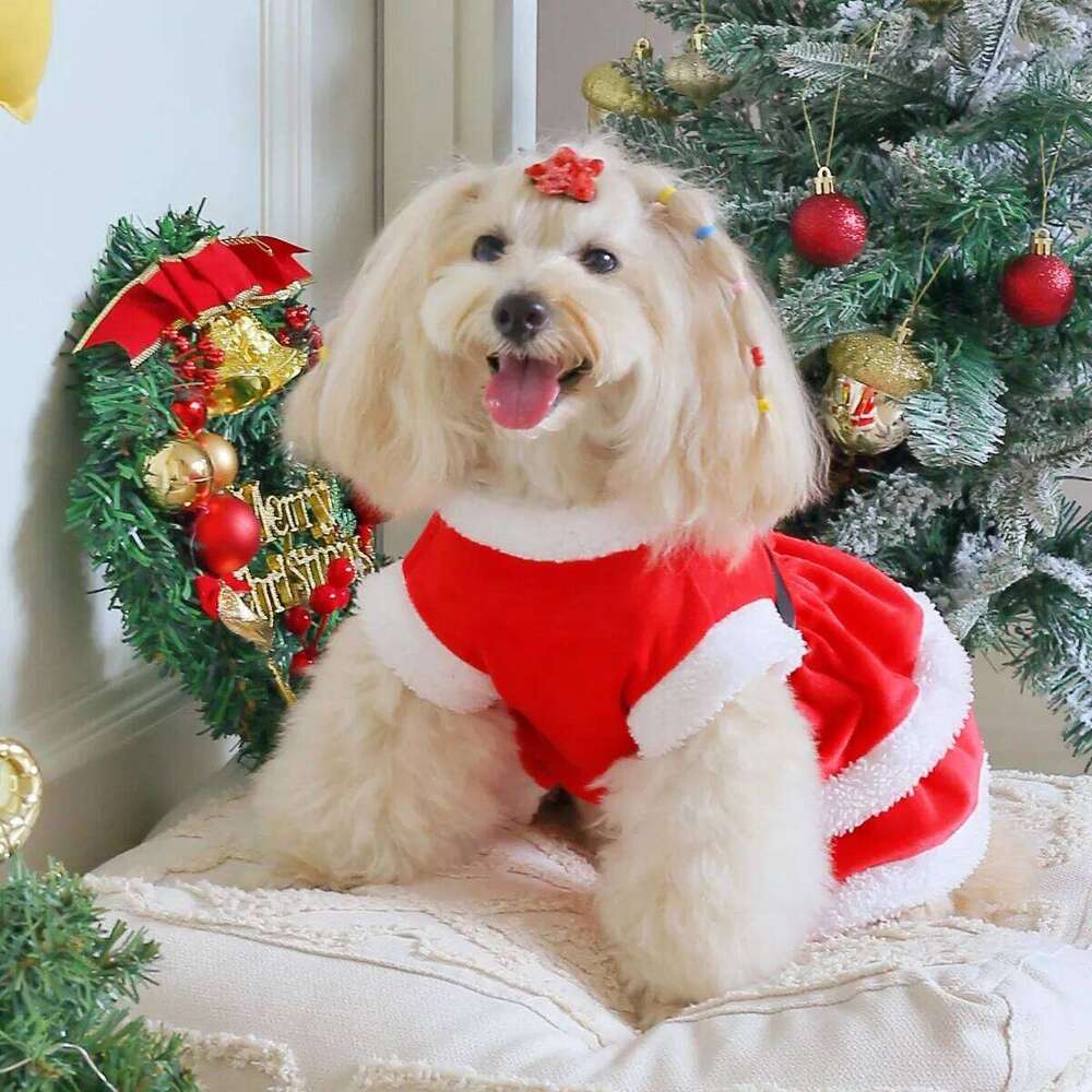 400A Red Velvet Cake Tiered Dress with a Black Satin Belt, Gold Buttons, and White Trim for Christmas H260129