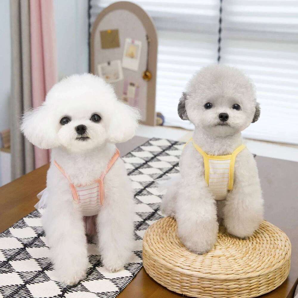 Sweet Lucky Princess for Small Dogs Spring Summer Puppy Lace Tutu Dress Chihuahua Dog Skirt Pet Apparel H260129