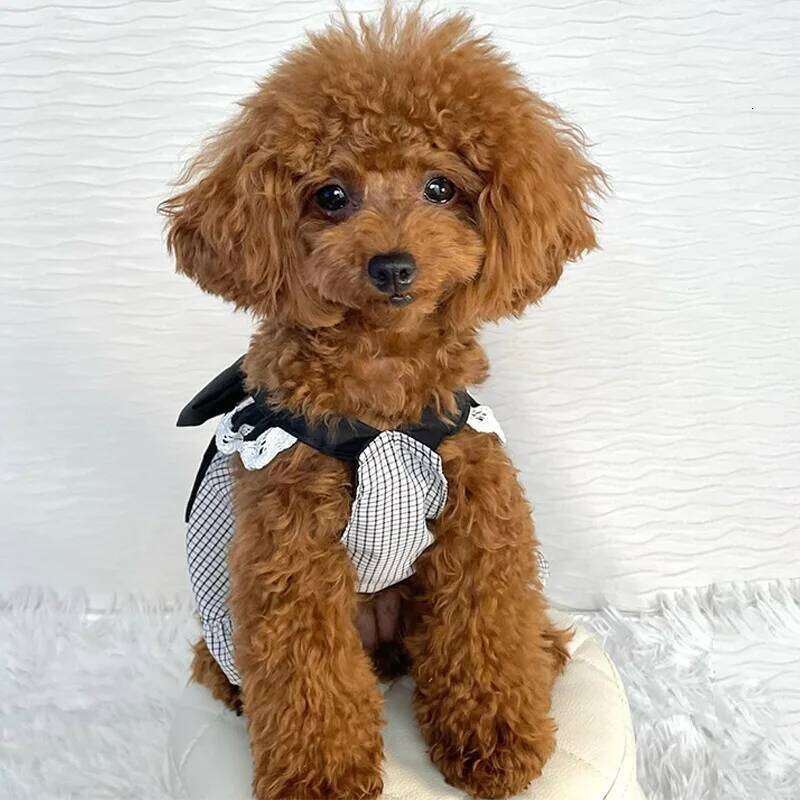 Plaid Ruffle Dresses with Big Bow Teddy Chihuahua Maltese Cat Outfits Medium Dog Clothes H260129