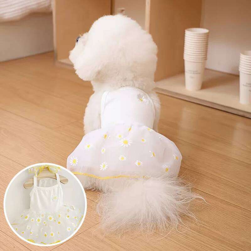 Summer Thin Puppy Princess Skirt Clothes Cute Dog Dress for Small Dogs Chihuahua York Clothing Pet Supplies H260130
