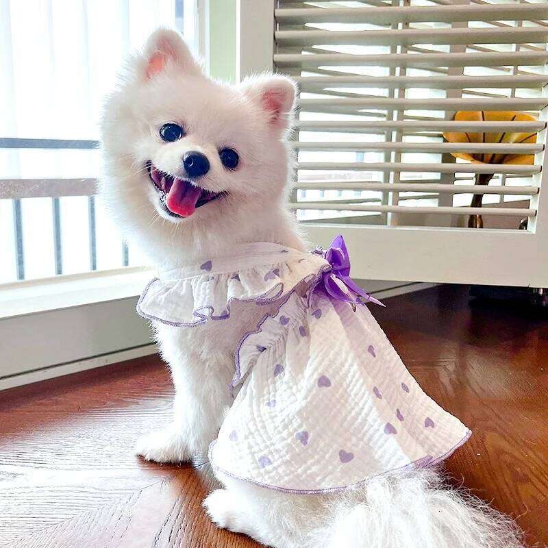 Luxury Clothes Heart Print Bow Chihuahua Sweet Skirts Puppy for Girl Dog Cat Princess Dress Pet Costume Bichon H260129