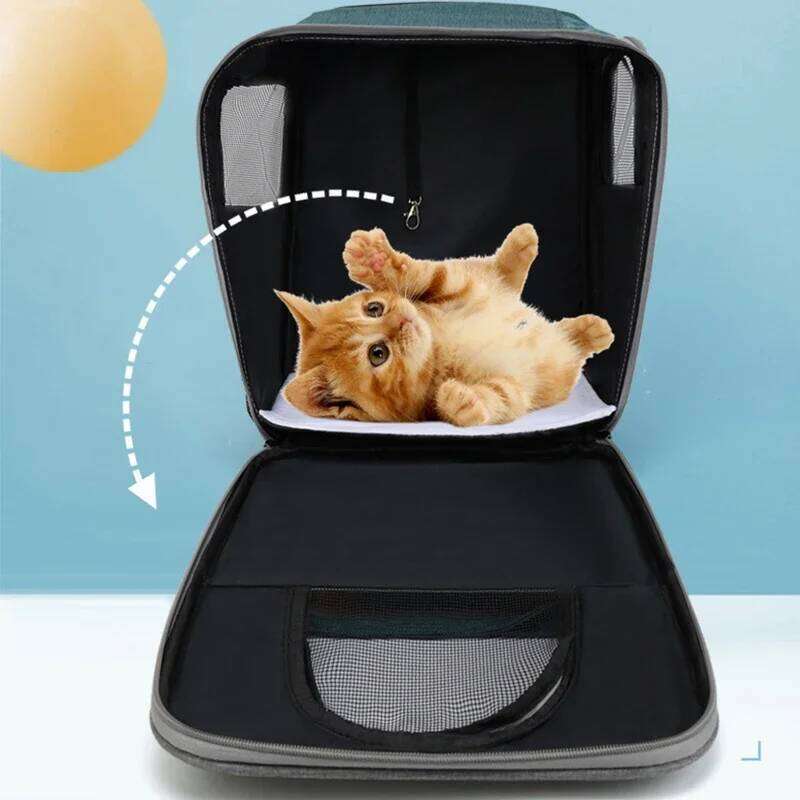 accessories Dog bed Backpack for Chihuahua French Bulldog Poodle ventilate Small dog carrying Cat backpack 26H0130