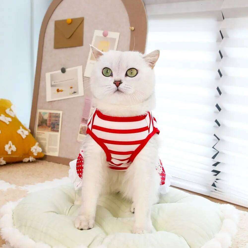 Fashion Cute Striped Dog Dress Soft Thin Design Princess Lace Skirt Breathable Summer Pet Clothes for Puppy Kittens H260130