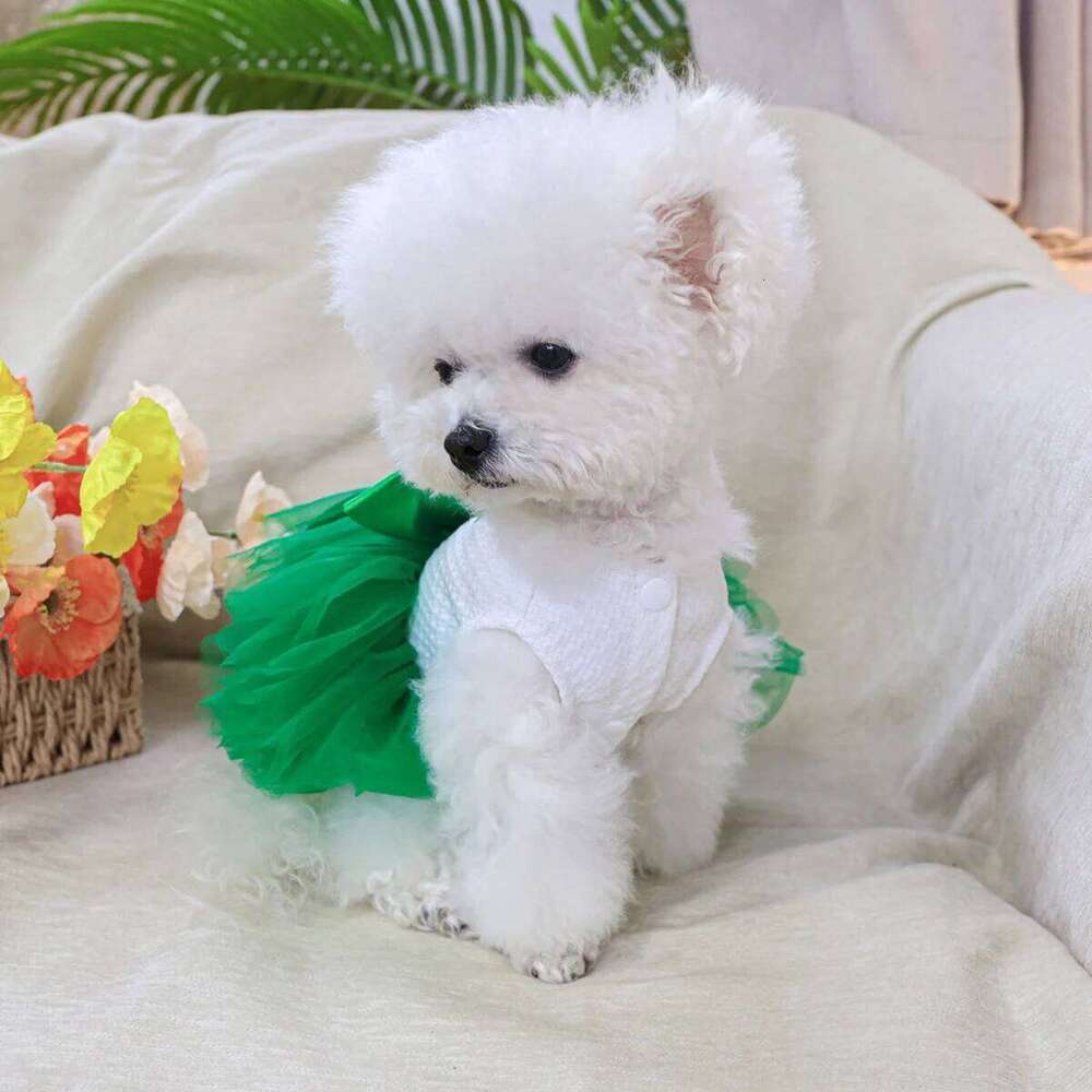St. Patrick's Gauze - Green Puppy Dog Spring Summer Thin Pet Wedding Dress H260129