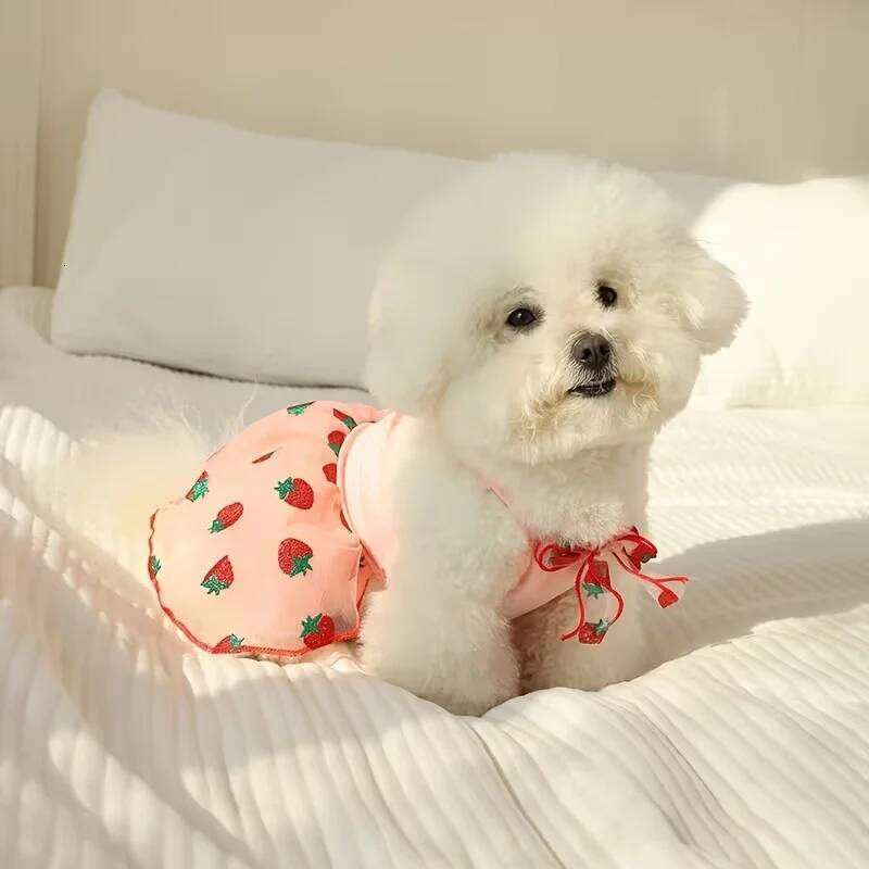 Summer Thin Puppy Princess Skirt Clothes Cute Dog Dress for Small Dogs Chihuahua York Clothing Pet Supplies H260130