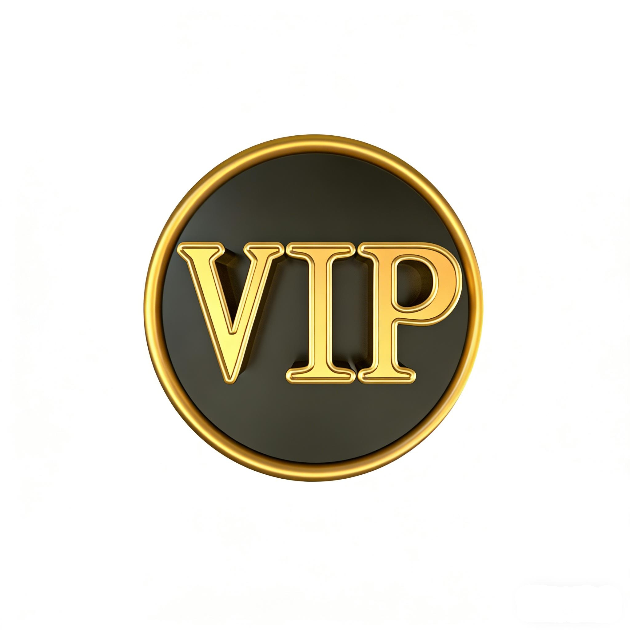 Hejing XX-10 VIP link the link is for VIP Payment Gateway Complete Purchases, Pay Differences and Priority Logistics