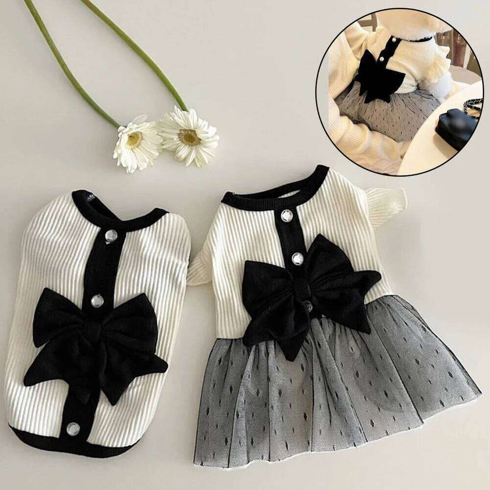 Luxury Dress for Small Summer Puppy Clothes Bow Lace Skirt Black White T-Shirt Girls puppy Costume Chihuahua Vest H260129